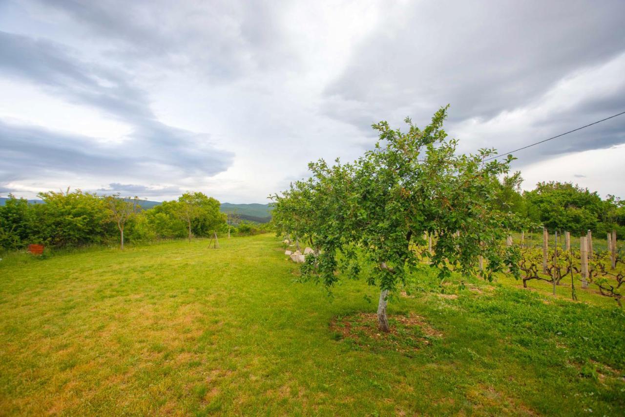 Casa Di Oliva-House With Heated Pool & Jacuzzi In Trilj, Croatia Villa Eksteriør billede